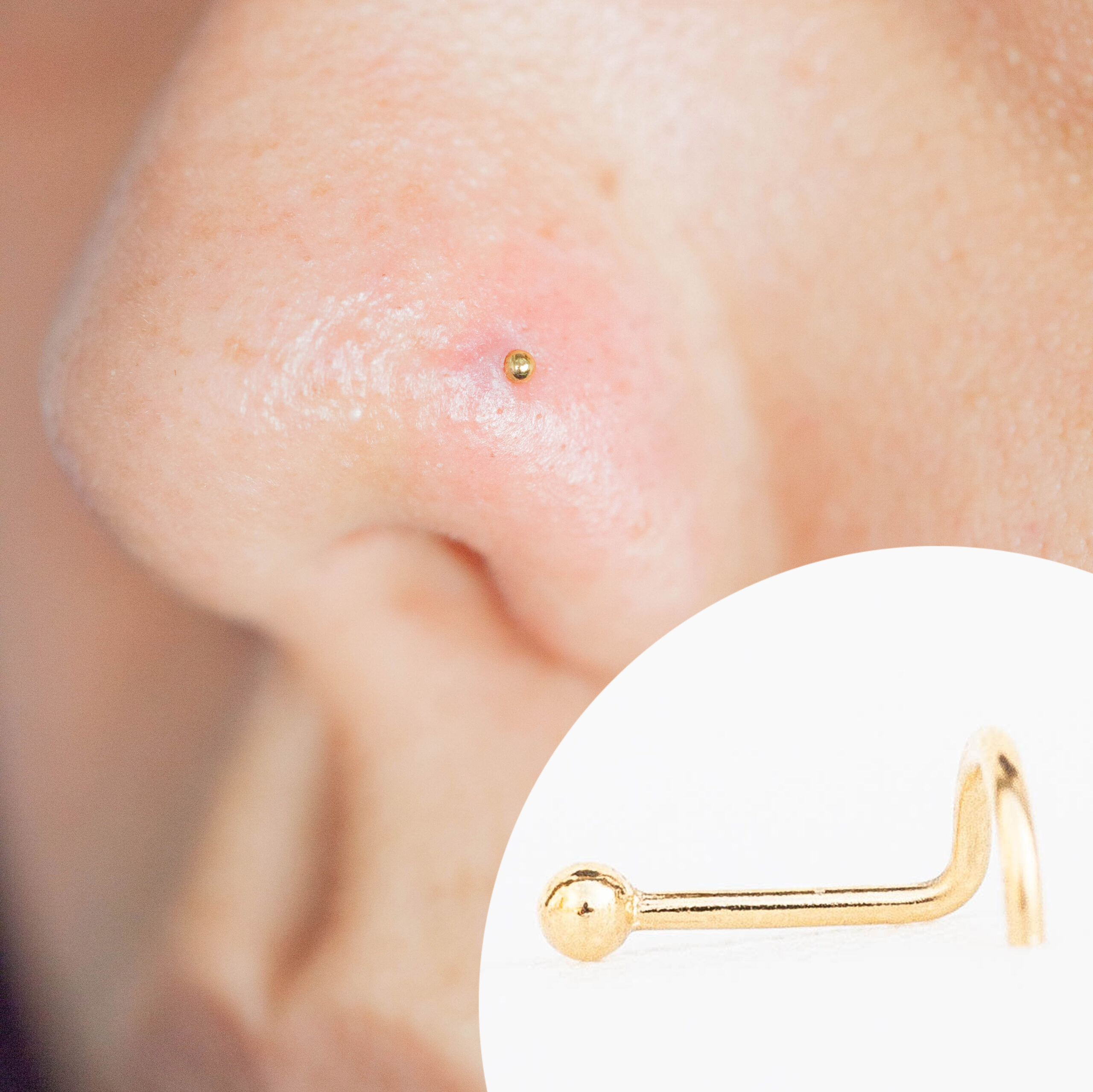 Niobium Nose Ring Hypo-Allergenic Nose Hoop | Niobium Nose Jewelry – Rock  Your Nose Jewelry Inc.