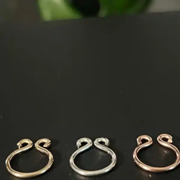 Fake Septum Nose Ring