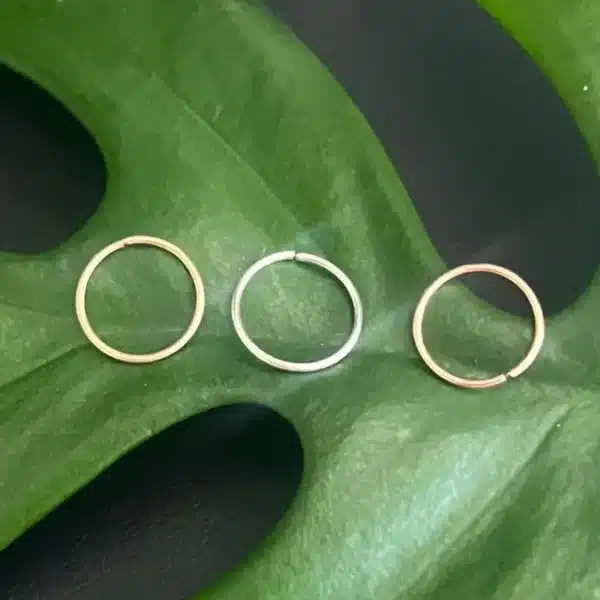 Endless Hoop