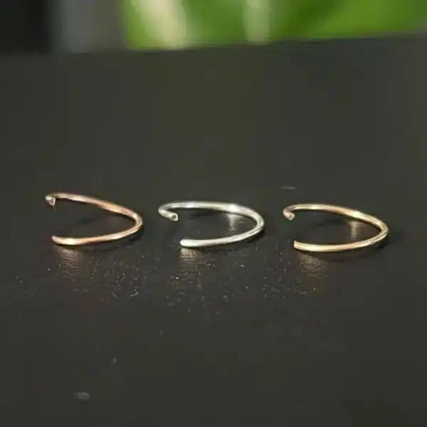 Endless Hoop