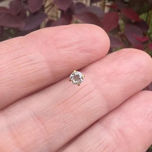 surgical steel nose stud