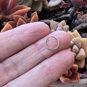 Stainless Steel Hoop Earrings